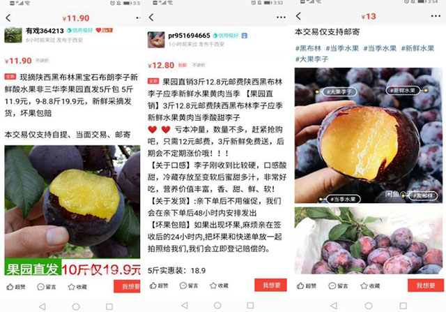 實操分享：小白輕松月入10000+的閑魚玩法 流量 網(wǎng)賺 電子商務(wù) 經(jīng)驗心得 第2張