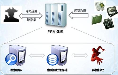 搜索引擎蜘蛛抓取策略，如何吸引更多蜘蛛