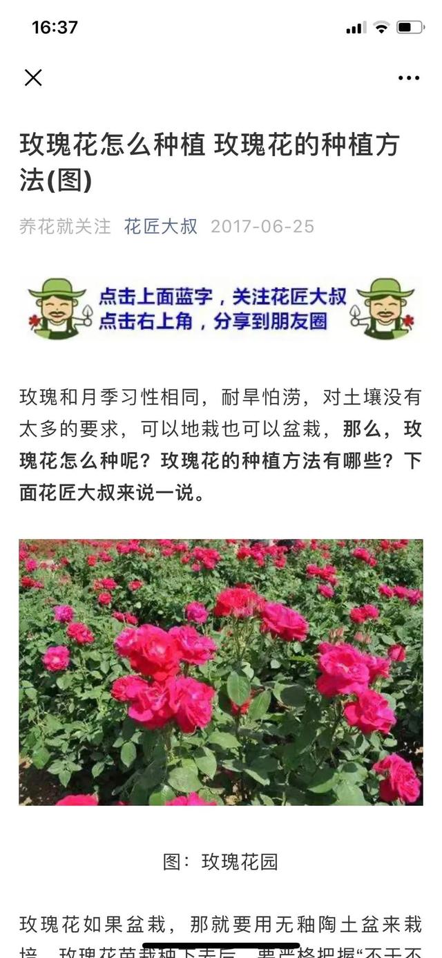玩轉(zhuǎn)微信SEO引流不斷玩轉(zhuǎn)微信SEO引流案例實(shí)操
