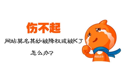 網(wǎng)站降權(quán)的原因，如何判斷是否真的降權(quán)？