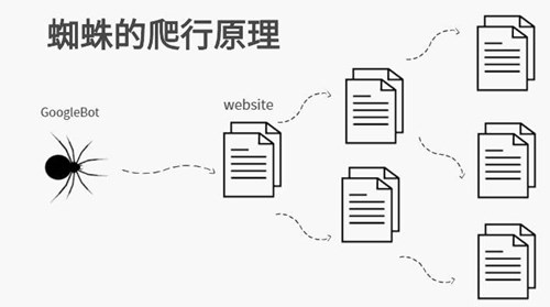 探秘搜索引擎蜘蛛的抓取規(guī)律，外鏈是否有時效性