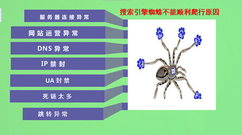 搜索引擎的蜘蛛是如何爬的，如何吸引蜘蛛來抓取頁面