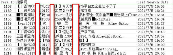 親身經(jīng)歷：網(wǎng)站被站內惡意搜索和各種攻擊 SEO優(yōu)化 建站教程 第4張