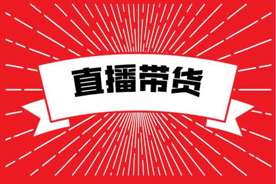 教你如何搭建一個(gè)好的網(wǎng)紅直播帶貨團(tuán)隊(duì)
